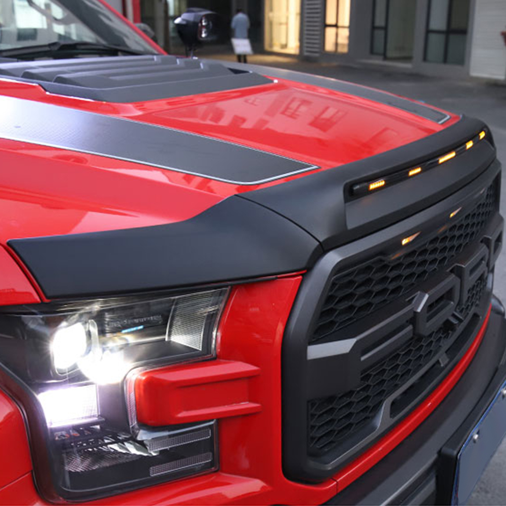 Front Bug Shield Hood Deflecto - đánh giá và giá Lighting Bug Decor
