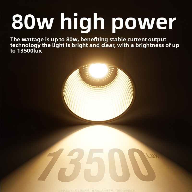 ZU80 80w Handheld Exterior Lam - đánh giá và giá Lighting Gallery